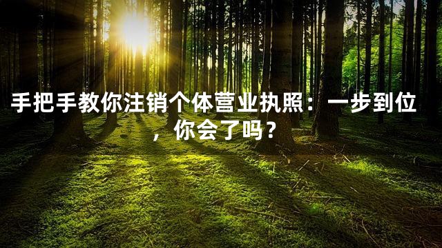 手把手教你注销个体营业执照：一步到位，你会了吗？