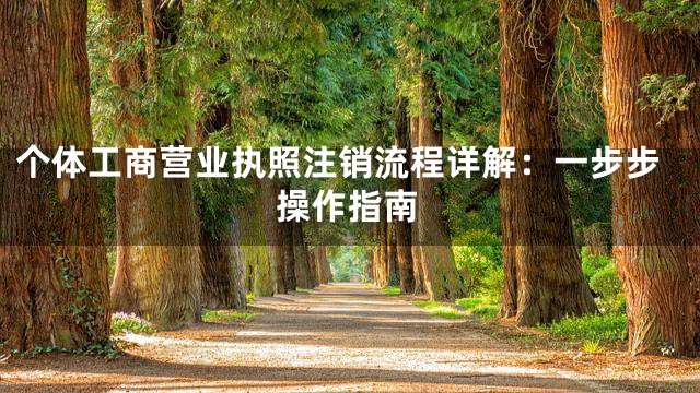 个体工商营业执照注销流程详解：一步步操作指南