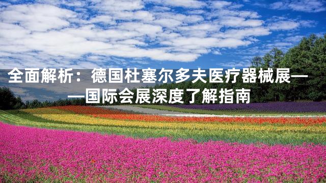全面解析：德国杜塞尔多夫医疗器械展——国际会展深度了解指南