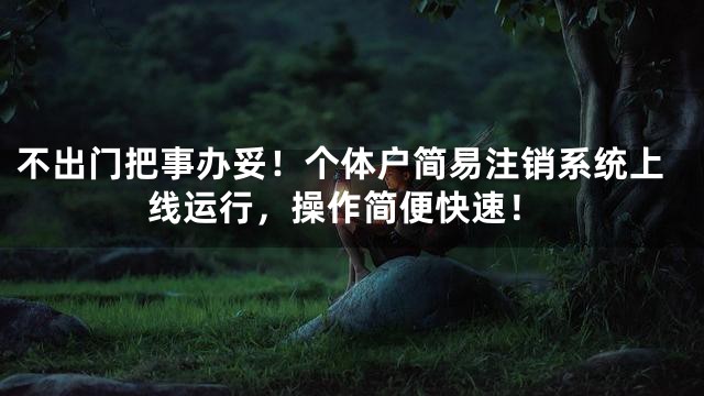 不出门把事办妥！个体户简易注销系统上线运行，操作简便快速！
