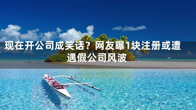 现在开公司成笑话？网友曝1块注册或遭遇假公司风波