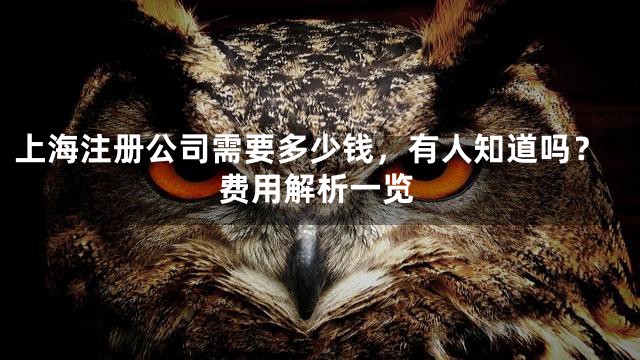 上海注册公司需要多少钱，有人知道吗？费用解析一览