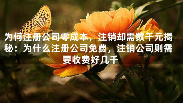 为何注册公司零成本，注销却需数千元揭秘：为什么注册公司免费，注销公司则需要收费好几千
