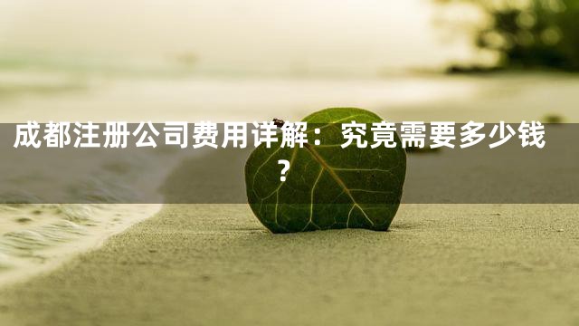 成都注册公司费用详解：究竟需要多少钱？