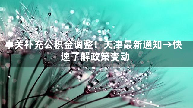 事关补充公积金调整！天津最新通知→快速了解政策变动
