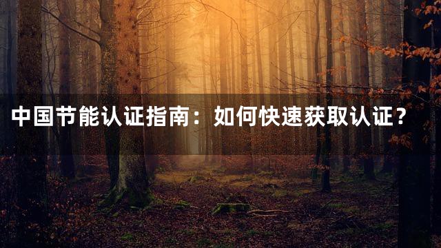 中国节能认证指南：如何快速获取认证？