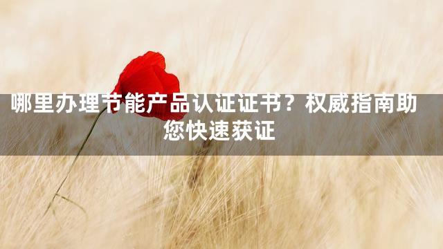 哪里办理节能产品认证证书？权威指南助您快速获证
