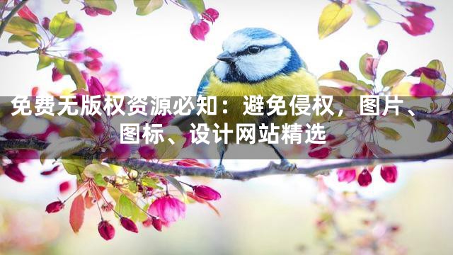 免费无版权资源必知：避免侵权，图片、图标、设计网站精选
