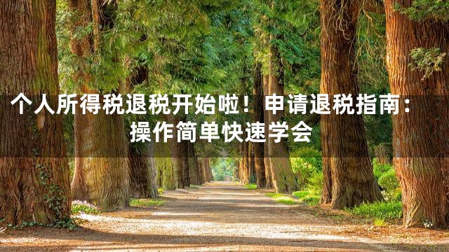个人所得税退税开始啦！申请退税指南：操作简单快速学会