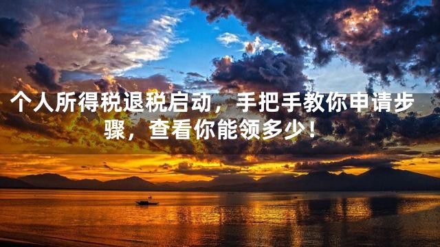 个人所得税退税启动，手把手教你申请步骤，查看你能领多少！