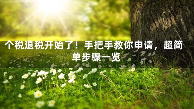 个税退税开始了！手把手教你申请，超简单步骤一览