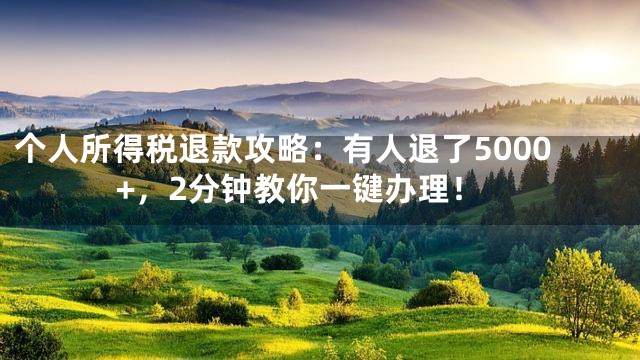 个人所得税退款攻略：有人退了5000+，2分钟教你一键办理！