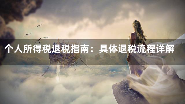 个人所得税退税指南：具体退税流程详解