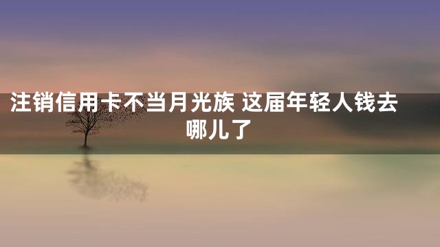 注销信用卡不当月光族 这届年轻人钱去哪儿了