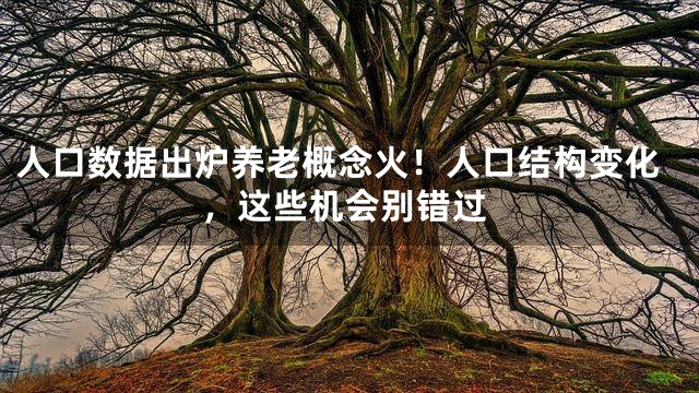 人口数据出炉养老概念火！人口结构变化，这些机会别错过