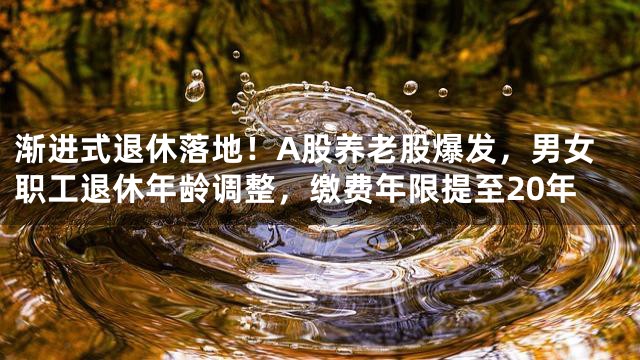 渐进式退休落地！A股养老股爆发，男女职工退休年龄调整，缴费年限提至20年