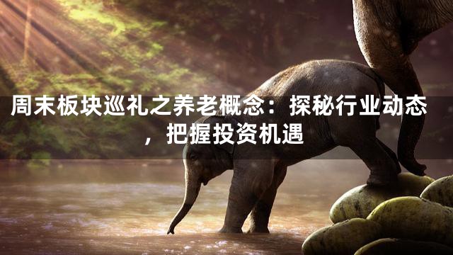 周末板块巡礼之养老概念：探秘行业动态，把握投资机遇