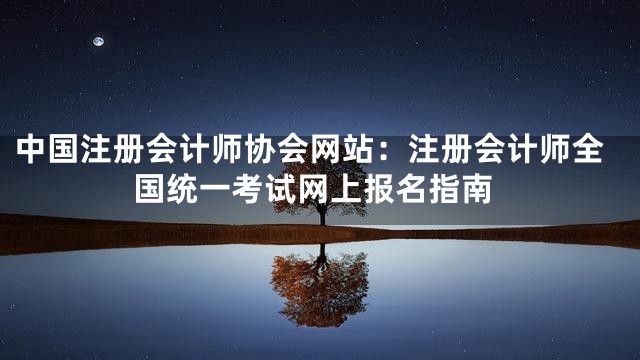 中国注册会计师协会网站：注册会计师全国统一考试网上报名指南