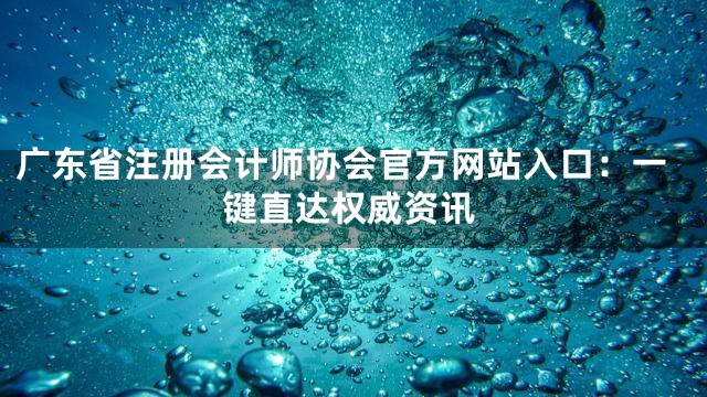 广东省注册会计师协会官方网站入口：一键直达权威资讯