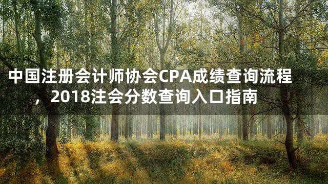 中国注册会计师协会CPA成绩查询流程，2018注会分数查询入口指南