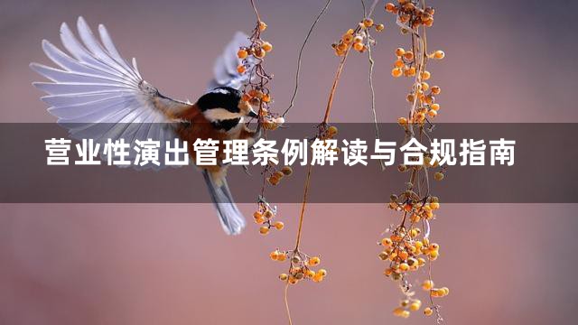 营业性演出管理条例解读与合规指南
