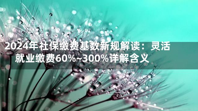 2024年社保缴费基数新规解读：灵活就业缴费60%~300%详解含义