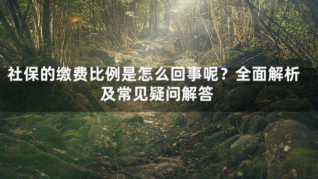 社保的缴费比例是怎么回事呢？全面解析及常见疑问解答