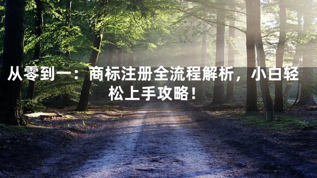 从零到一：商标注册全流程解析，小白轻松上手攻略！