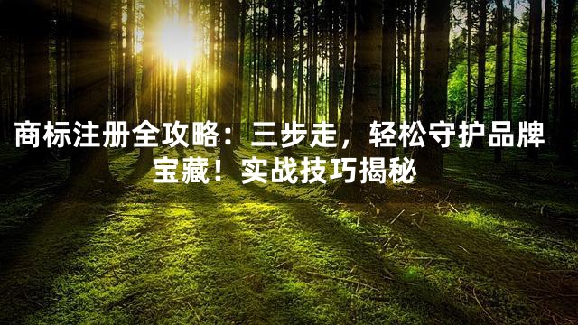 商标注册全攻略：三步走，轻松守护品牌宝藏！实战技巧揭秘