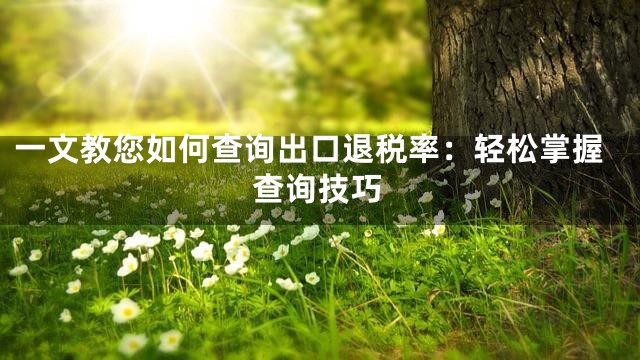 一文教您如何查询出口退税率：轻松掌握查询技巧