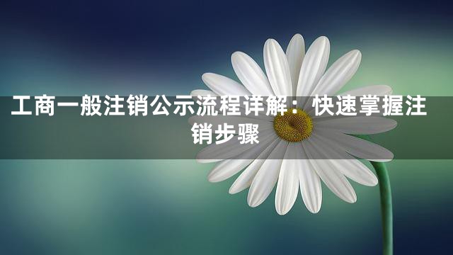 工商一般注销公示流程详解：快速掌握注销步骤