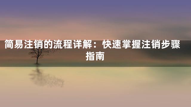 简易注销的流程详解：快速掌握注销步骤指南