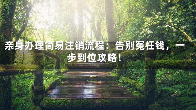 亲身办理简易注销流程：告别冤枉钱，一步到位攻略！