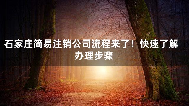 石家庄简易注销公司流程来了！快速了解办理步骤