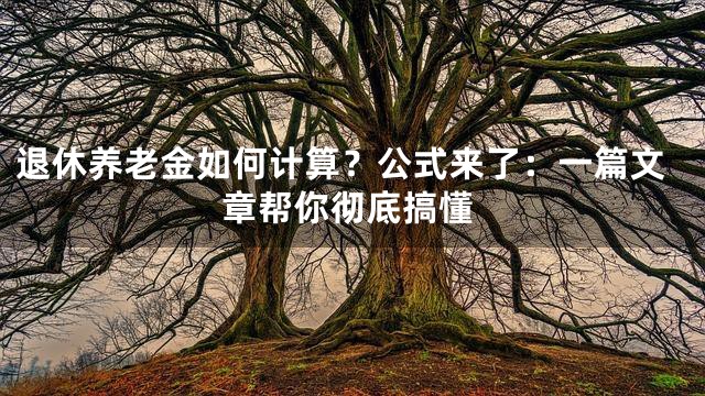退休养老金如何计算？公式来了：一篇文章帮你彻底搞懂