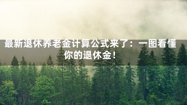 最新退休养老金计算公式来了：一图看懂你的退休金！