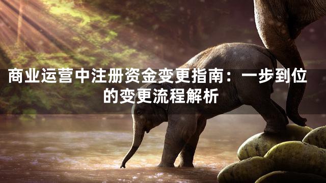 商业运营中注册资金变更指南：一步到位的变更流程解析