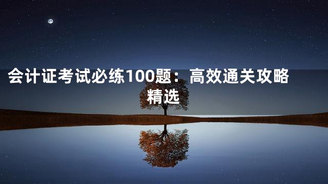会计证考试必练100题：高效通关攻略精选