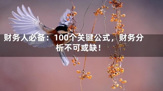 财务人必备：100个关键公式，财务分析不可或缺！