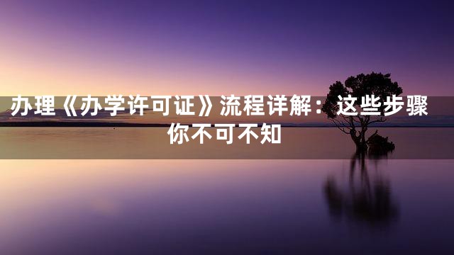 办理《办学许可证》流程详解：这些步骤你不可不知