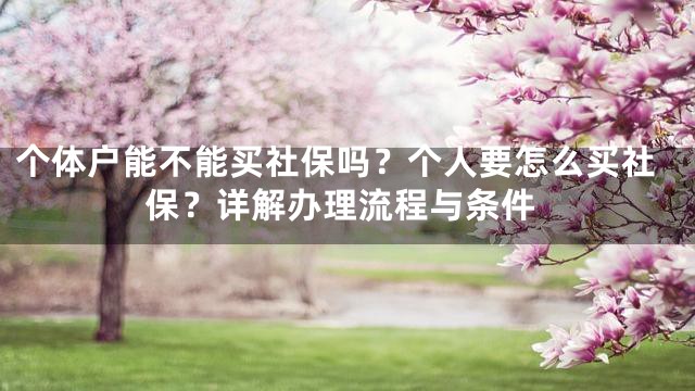 个体户能不能买社保吗？个人要怎么买社保？详解办理流程与条件