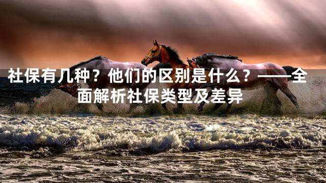 社保有几种？他们的区别是什么？——全面解析社保类型及差异
