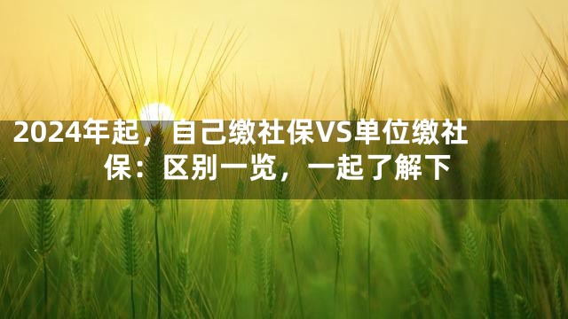 2024年起，自己缴社保VS单位缴社保：区别一览，一起了解下