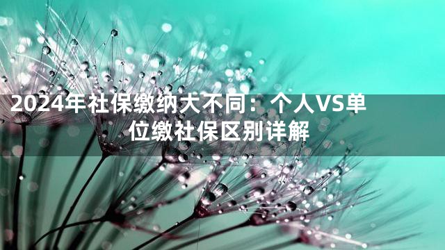 2024年社保缴纳大不同：个人VS单位缴社保区别详解