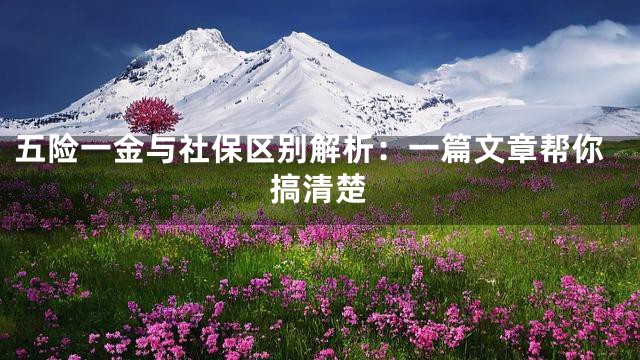 五险一金与社保区别解析：一篇文章帮你搞清楚