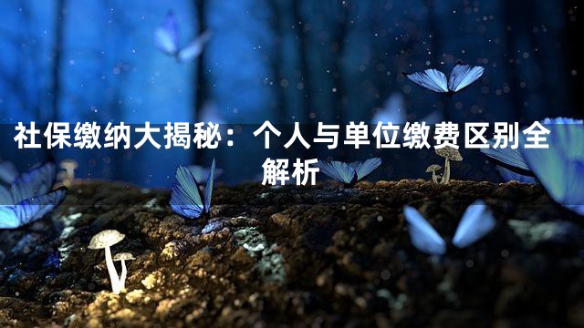 社保缴纳大揭秘：个人与单位缴费区别全解析