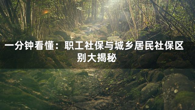 一分钟看懂：职工社保与城乡居民社保区别大揭秘