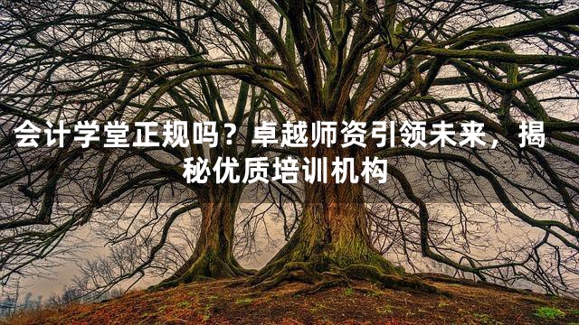 会计学堂正规吗？卓越师资引领未来，揭秘优质培训机构