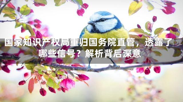 国家知识产权局重归国务院直管，透露了哪些信号？解析背后深意