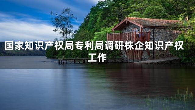 国家知识产权局专利局调研株企知识产权工作